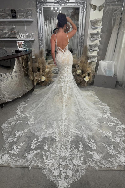 Stunning Mermaid V Neck Lace Wedding Dress with Appliques AB26012913