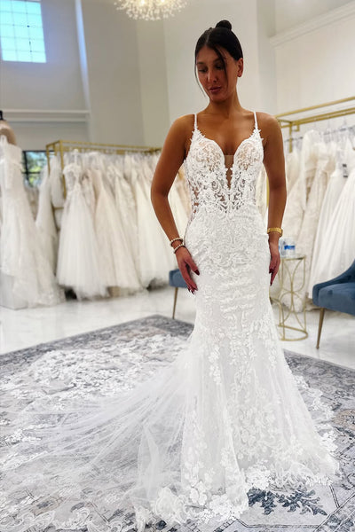 Gorgeous Mermaid V Neck Lace Wedding Dress AB25112210