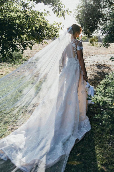 Fairy A Line Deep V Neck Tulle 3D Lace Wedding Dresses AB122801